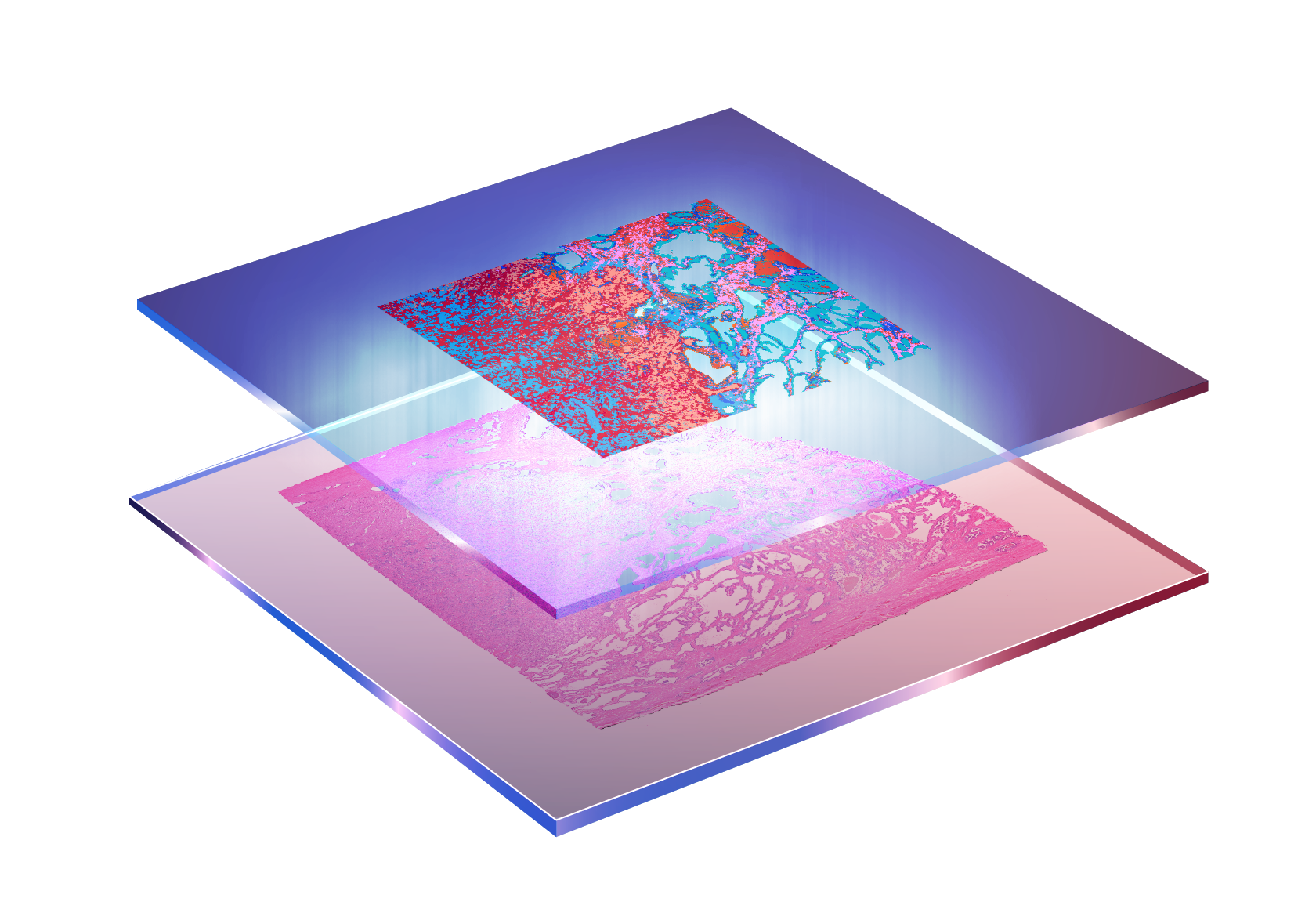 Tumor microenvironment and spatial omics overview